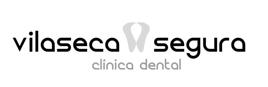 logo vilaseca 2048x666